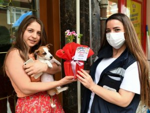 Esenyurt Belediyesinden hayvansever annelere sürpriz kutlama