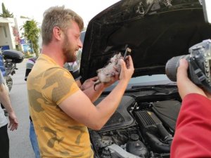 Otomobilin motorundan çıkardığı kediyi sahiplendi