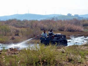Aliağa Belediyesi sivrisinekle mücadelesini sürdürüyor