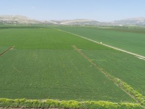 DSİ: "Diyarbakır’da 577 bin 670 dekar arazi sulanacak"