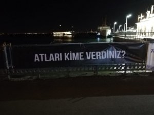 Adalar’da hayvanseverlerden İBB’ye “kayıp at” tepkisi