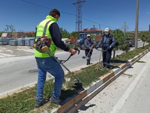 İscehisar’ın yeşil alanları güzelleşiyor