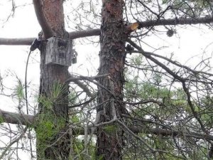 Milli Parklar Müdürlüğü’nden önemli açıklama