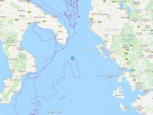 Uydudan izlenen caretta caretta iki yılda 10 bin kilometre yol aldı