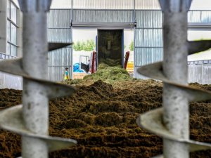 Ankara Büyükşehir Belediyesi’nde çimden gübre üretimi başladı