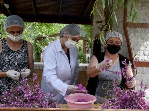 Erguvan Çiçeği reçeli hem göze, hem damağa hitap ediyor