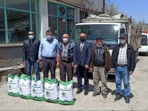 Kütahyalı çiftçilere kuru fasulye tohumu