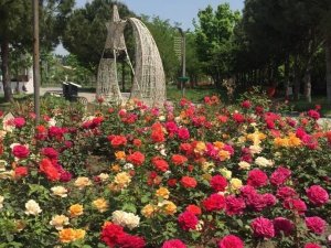 Park ve yeşil alanlar çiçek gibi oluyor