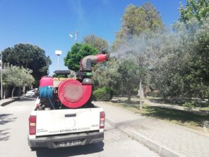 Manisa’da haşereyle mücadele hız kazandı