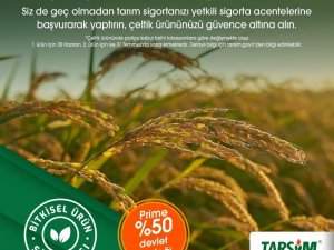 TARSİM: "Çeltik ürününüz güvende"