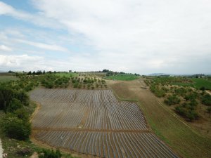 Bilecik’de sulama sezonu başladı