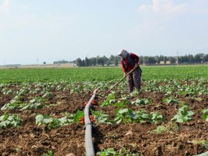 İmamoğlu Sulama Projesinde çalışmalar devam ediyor