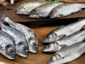 Pandemi döneminde Muğla’dan 410 milyon dolarlık balık ihracatı