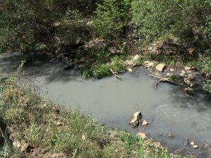 Ümmü kızın türküsü de kuraklığa yenildi