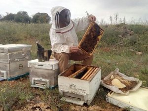 Yaşanan kuraklıktan arı varlığı ve bal üretimi de etkilenmeye başladı