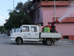 Nazilli Belediyesi vektörle mücadele çalışmalarında hız kesmiyor