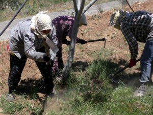 Çiftçiler gününü tarlada çalışarak geçirdiler