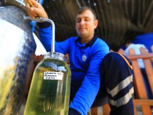 Şifalı bitkiler ekonomiye kazandırılıyor