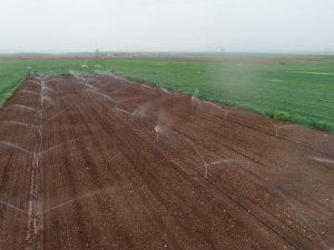 Şırnak’ta 2021 yılı sulama sezonu başladı