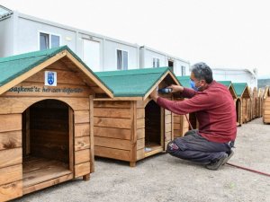 Büyükşehir’den sokak hayvanları için sıcak yuva