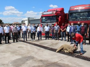 Soma’dan Yatağan Termik Santrali’ne günlük 5 bin ton kömür sevkiyatı yapılacak