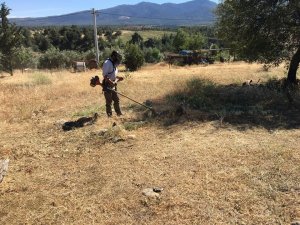 Karacasu’da mezarlıklar temizleniyor