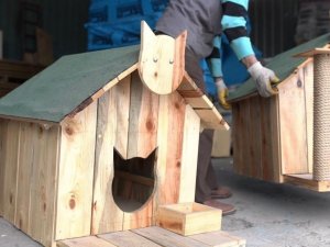 Sincan Belediyesinden sokak hayvanlarına yuva