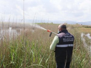 Efeler’de ilaçlama çalışmaları devam ediyor