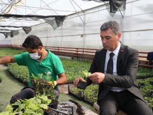 Geleceğimiz yeşersin diye organik fide