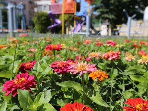 Efeler yeşil alan çalışmaları ile rengarenk oldu