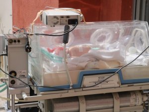 Denizli’de canlı doğan bebek sayısı azaldı