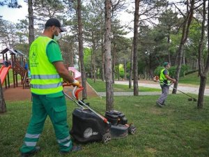 Gaziosmanpaşa Millet Bahçesi yemyeşil doğasıyla yaza hazırlanıyor
