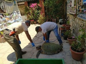 ’Corona Yeter’ bu defa kurtarılamadı