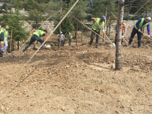 Pursaklar yeşile bürünüyor