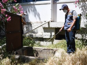 Kuşadası’nda yaz sezonu öncesi vektörel mücadele sürüyor