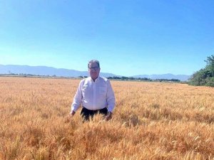 Söke Borsa Başkanı Nejat Sağel: “Buğday fiyatları sevindirdi”