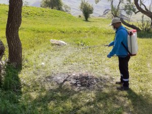 Hakkari’de keneyle mücadele çalışması
