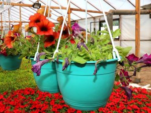 Uğur Mumcu Parkı’nda açık hava keyfi