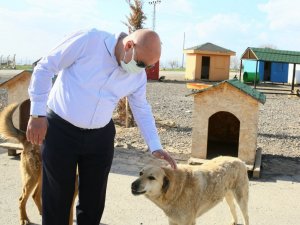 Keçiören Belediyesinden rekor tedavi hizmeti