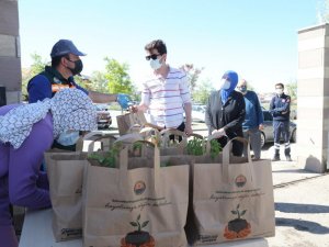 Gölbaşı Belediyesi fide dağıtımına başladı
