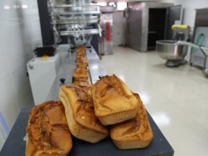 Haliliye Belediyesi çölyaklılara desteğini sürdürüyor