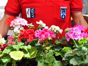 ANFA Bitki Evi yazı rengarenk çiçeklerle karşılıyor