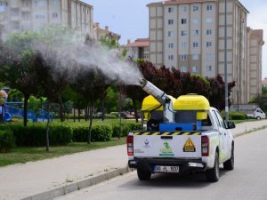 Kahramankazan’da haşerelere karşı ilaçlama