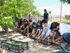 Başkent’te genç çiftçi sayısı her geçen gün artıyor