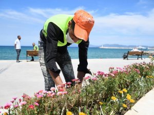 Kuşadası Belediyesi’nden sahil şeridine yaz dokunuşu