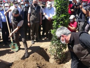 Bakan Pakdemirli Hatay’daki yanan alanda fidan dikti