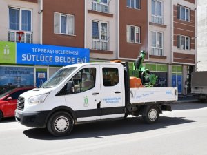 Tepebaşı’nda haşereye karşı ilaçlama çalışmaları