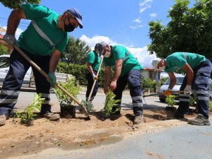 Efeler Belediyesi bisiklet yolunu çiçeklendirdi
