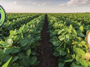 Organik Tarım desteği için son başvuru tarihi 28 Mayıs