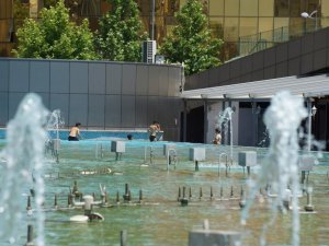 Aydın’da kavurucu sıcaklar etkili oluyor